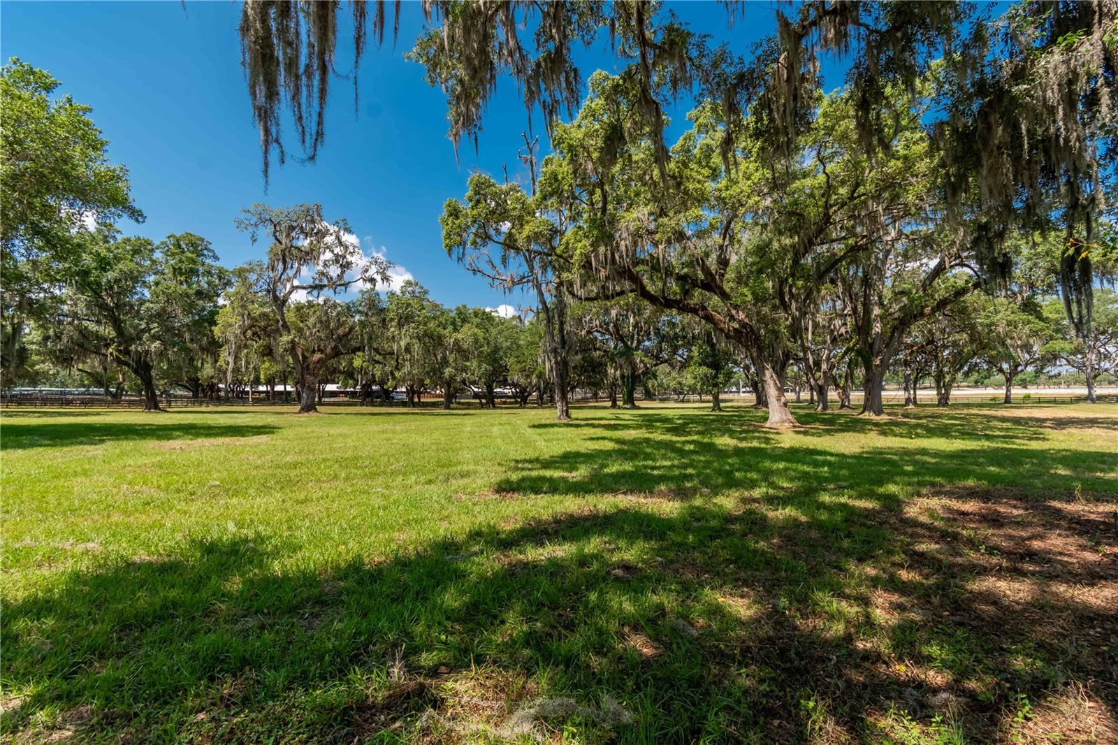 OAKRIDGE EQUINE CENTER 09 - Residential