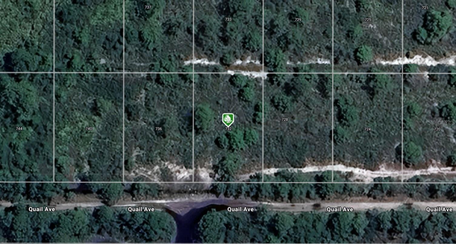 A VACANT LOT IN SEBRING IN HIGHLANDS COUNTY!!!