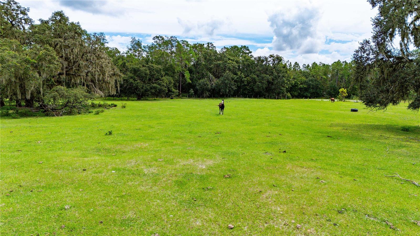 ACREAGE - Land