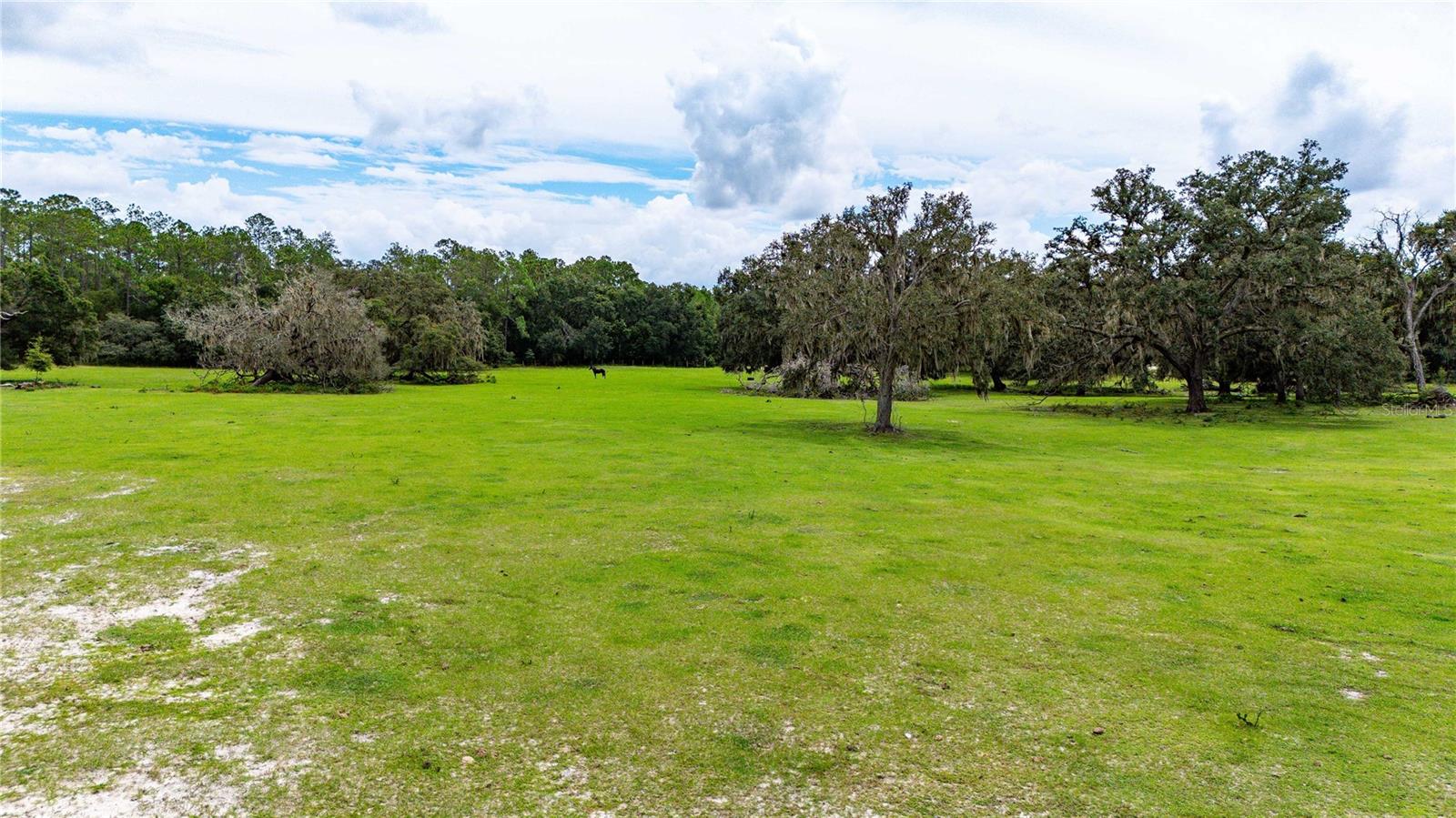 ACREAGE - Land