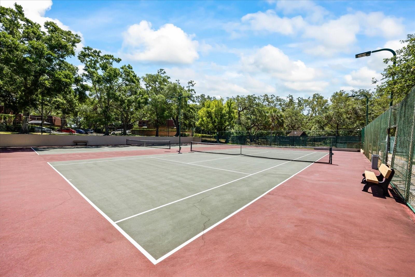WEDGE WOOD OF PALM HARBOR - Residential