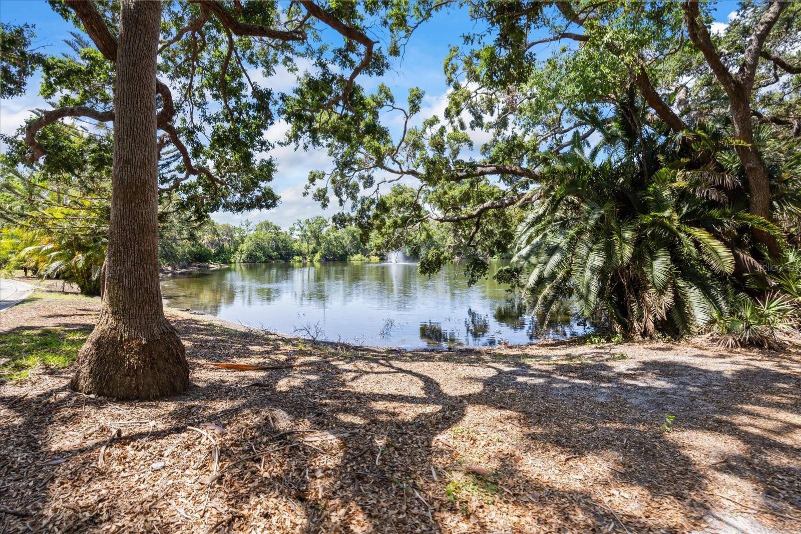 WEDGE WOOD OF PALM HARBOR - Residential