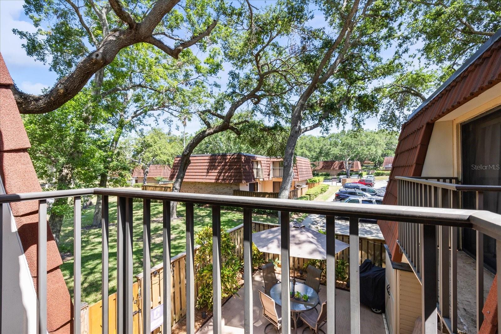 WEDGE WOOD OF PALM HARBOR - Residential