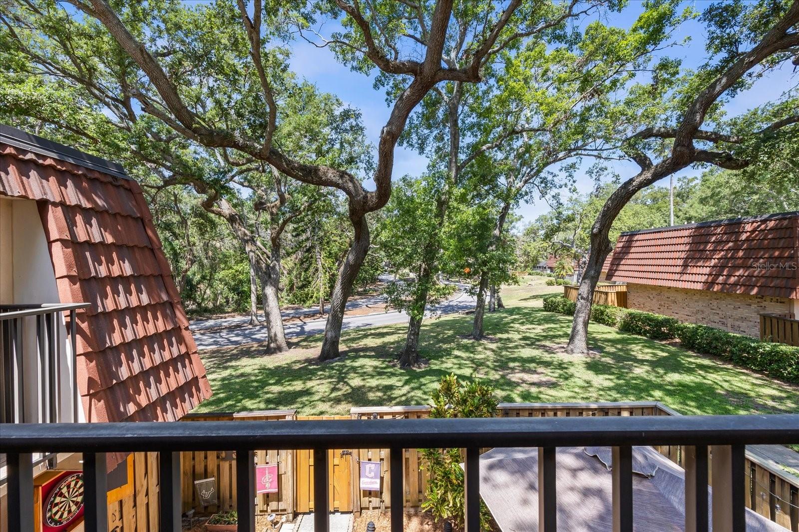 WEDGE WOOD OF PALM HARBOR - Residential