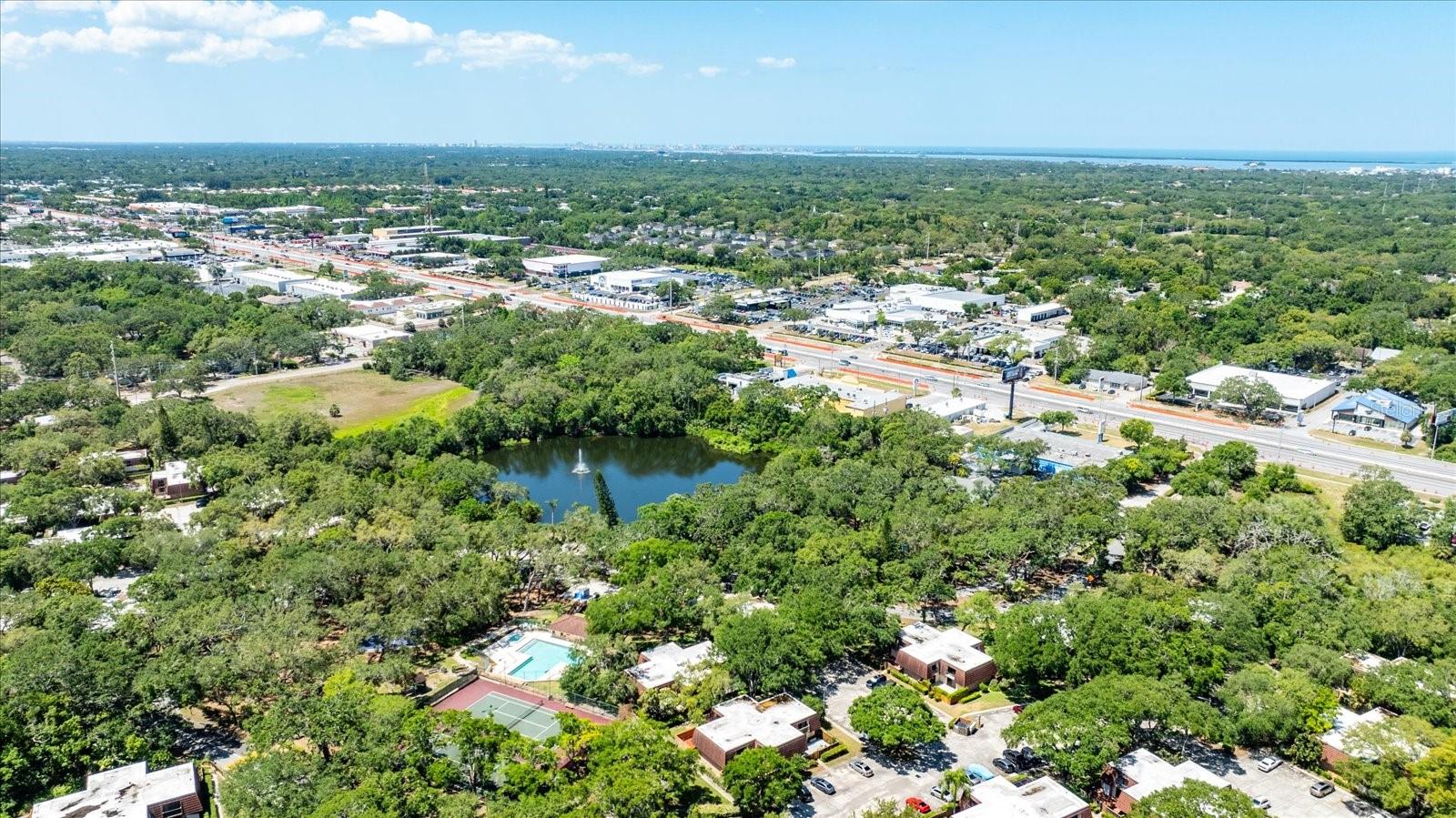 WEDGE WOOD OF PALM HARBOR - Residential