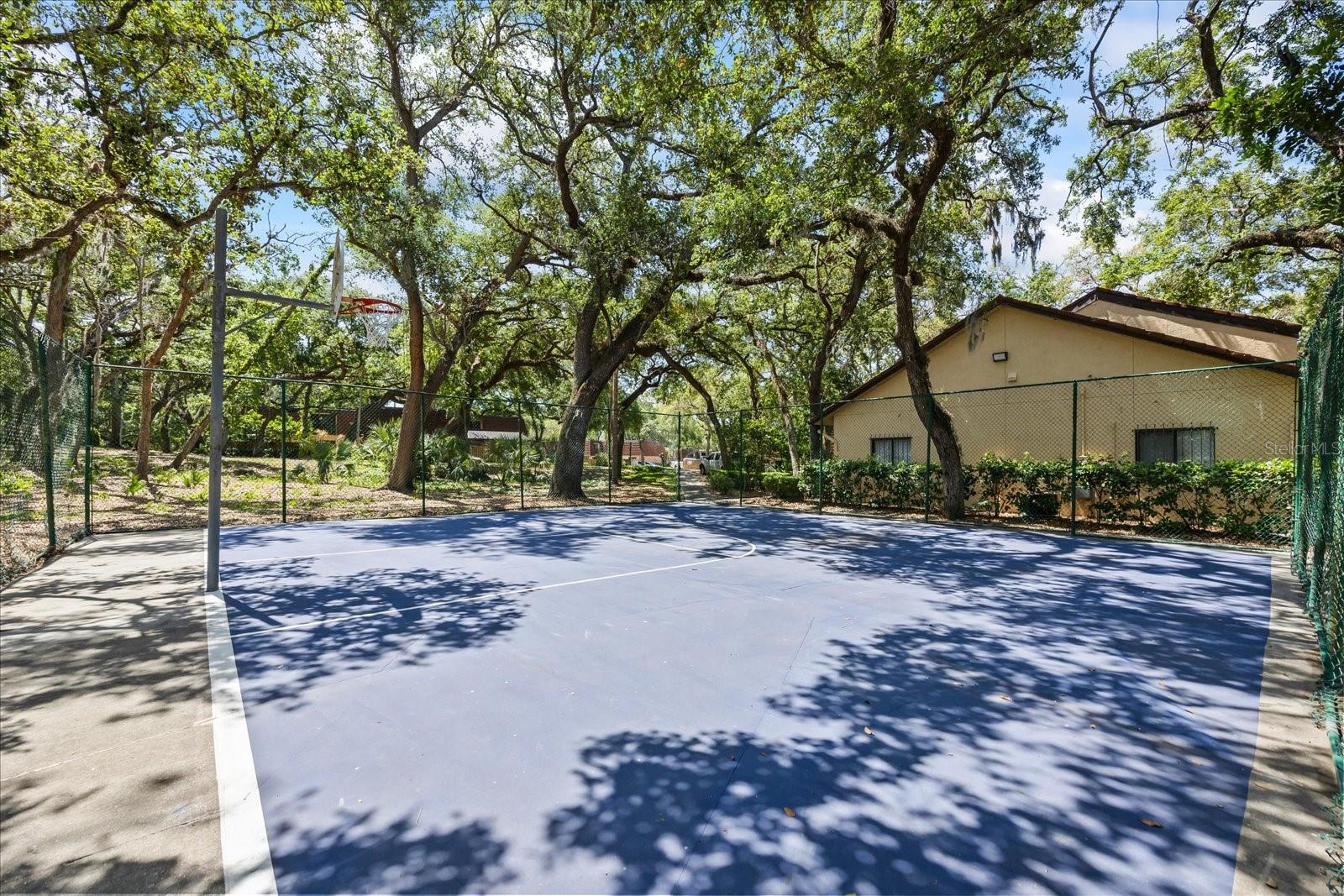 WEDGE WOOD OF PALM HARBOR - Residential