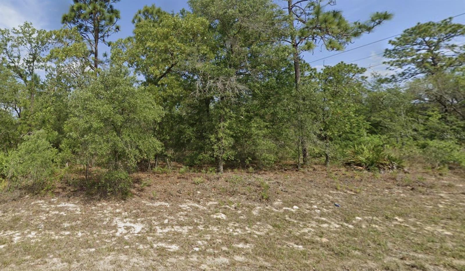 CITRUS SPRINGS UNIT 23 - Land