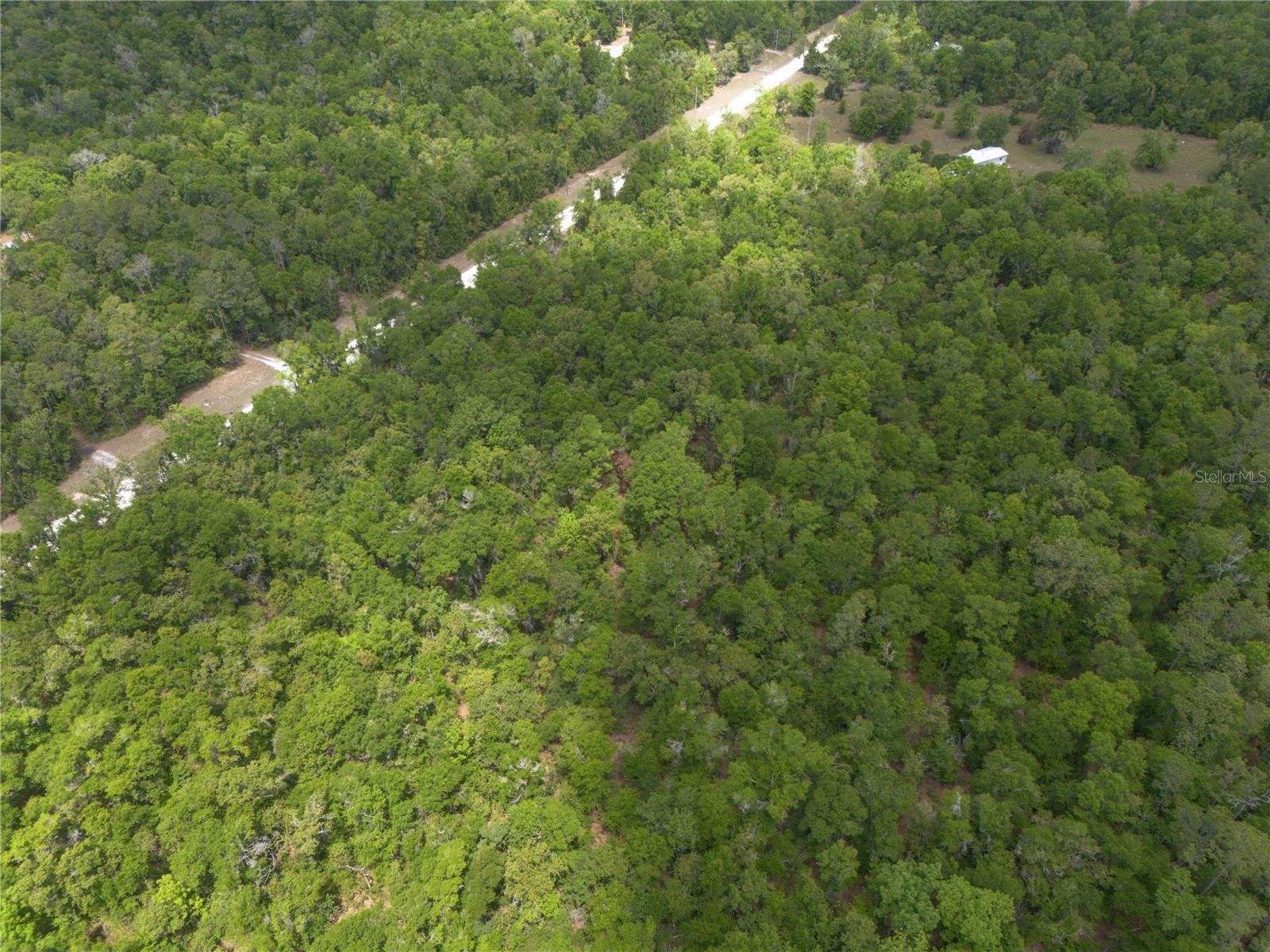 ICHETUCKNEE FOREST PH 02 - Land