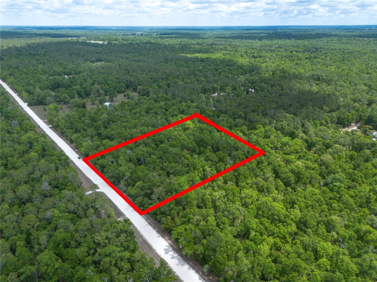 ICHETUCKNEE FOREST PH 02 - Land