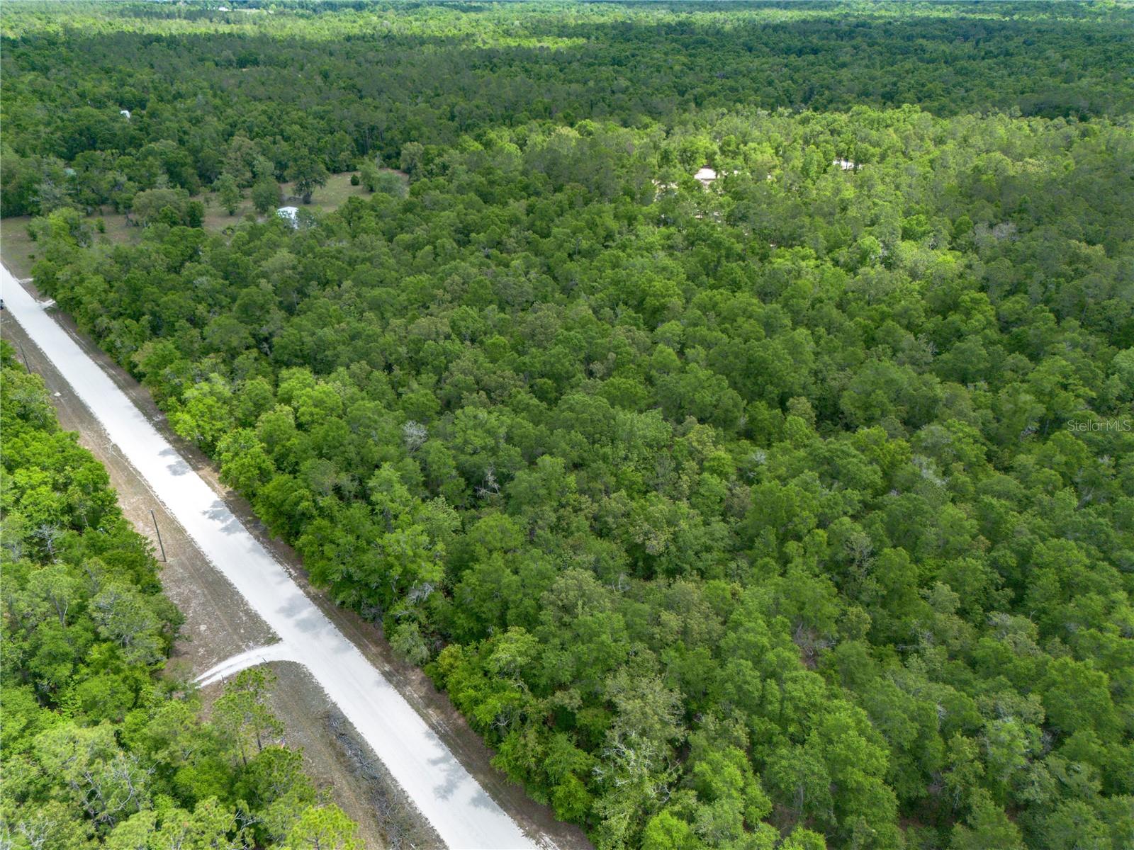 Here is your chance to own a piece of rural paradise in Ichetucknee Forest in Fort White, Florida. Enjoy lower property taxes in Columbia County, while being mere minutes from the world-famous Ichetucknee Springs State Park. Centrally located between High Springs and Lake City and only 45 minutes from Gainesville, you are close enough to all of the amenities of dining and shopping that one could need while not sacrificing the peace and calmness of county life. If you are looking for an opportunity to live in a beautifully secluded area and enjoy all that the springs and the Suwannee & Santa Fe River have to offer, this could be just right for you!