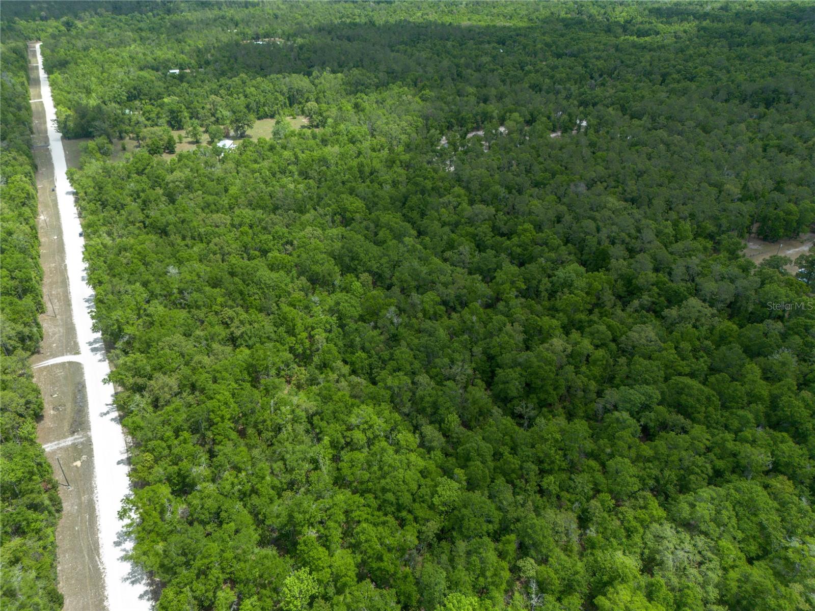 ICHETUCKNEE FOREST PH 02 - Land