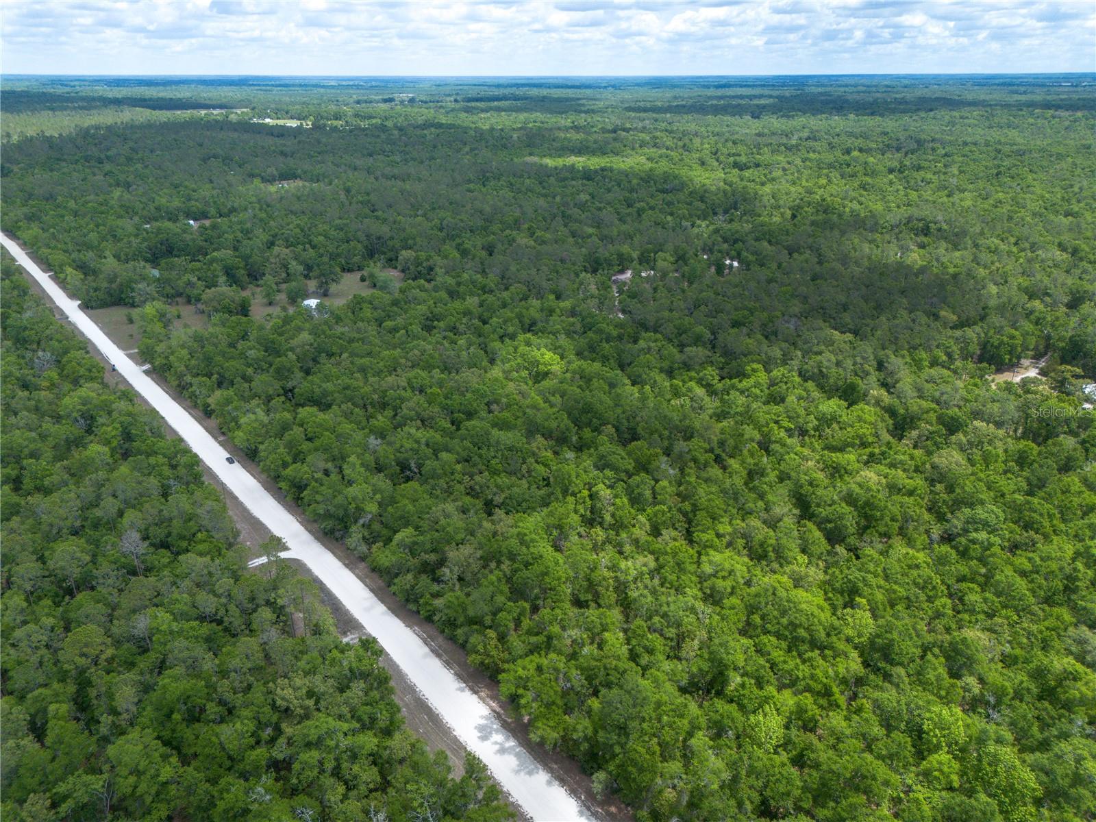 ICHETUCKNEE FOREST PH 02 - Land