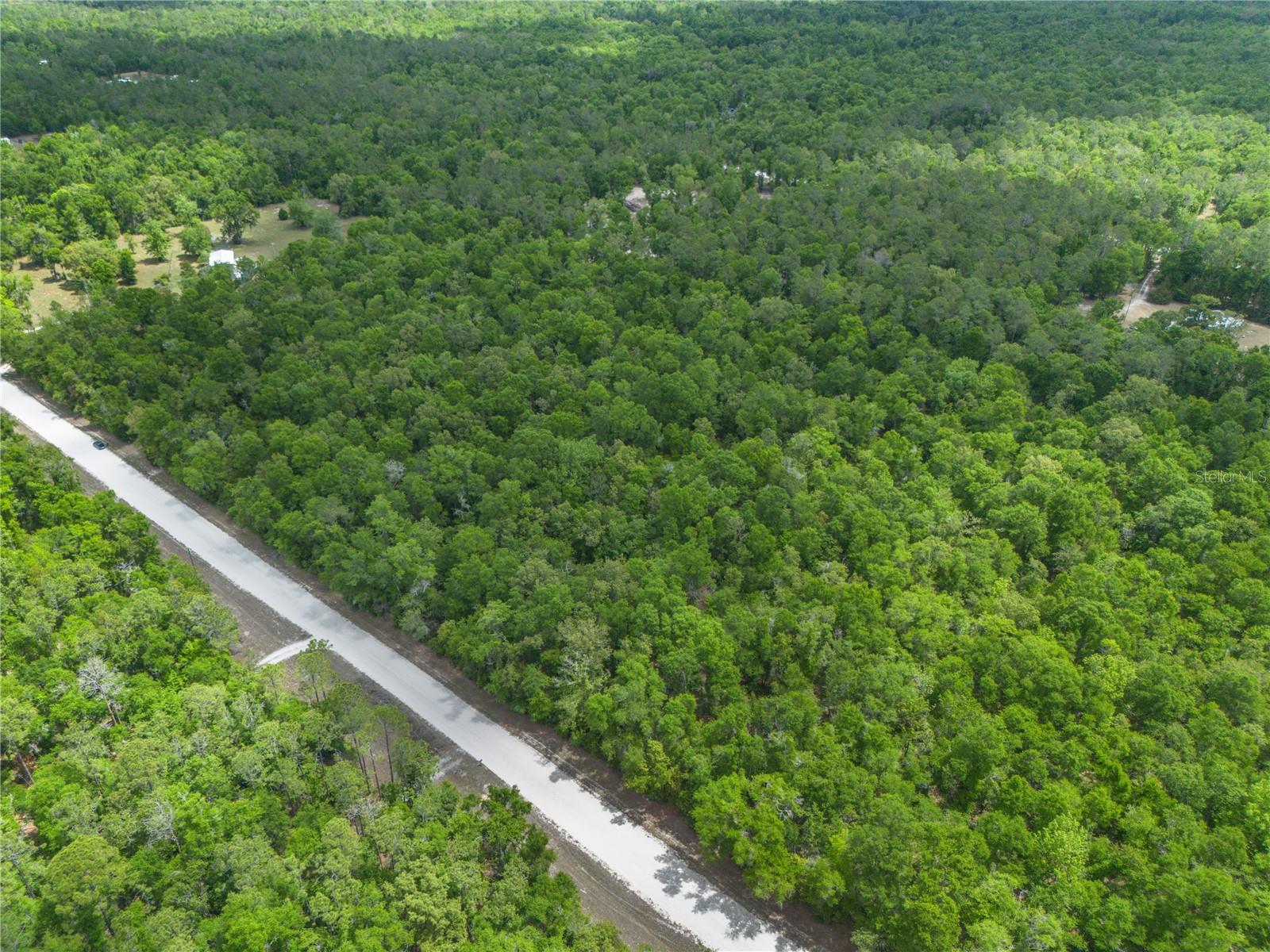 ICHETUCKNEE FOREST PH 02 - Land