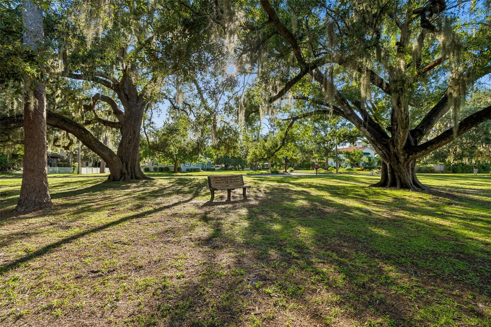 TEMPLE TERRACE ESTATES - Residential