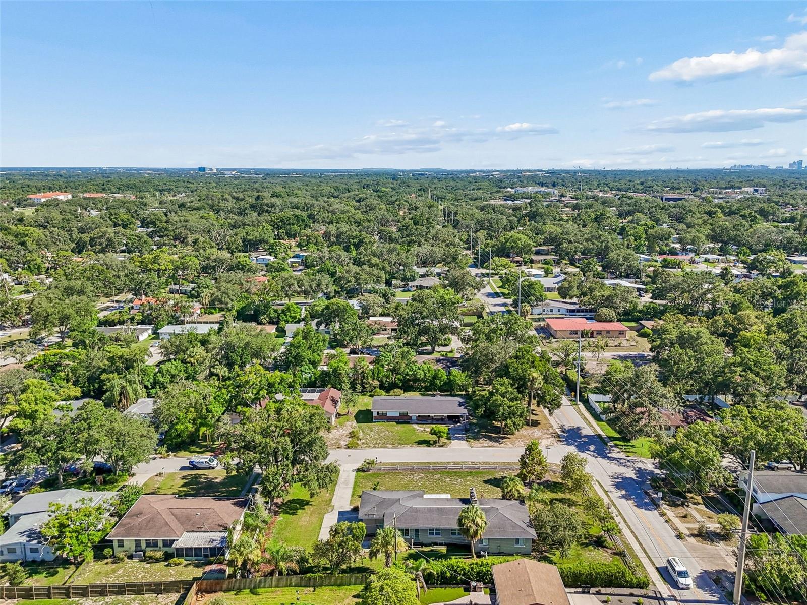 TEMPLE TERRACE ESTATES - Residential