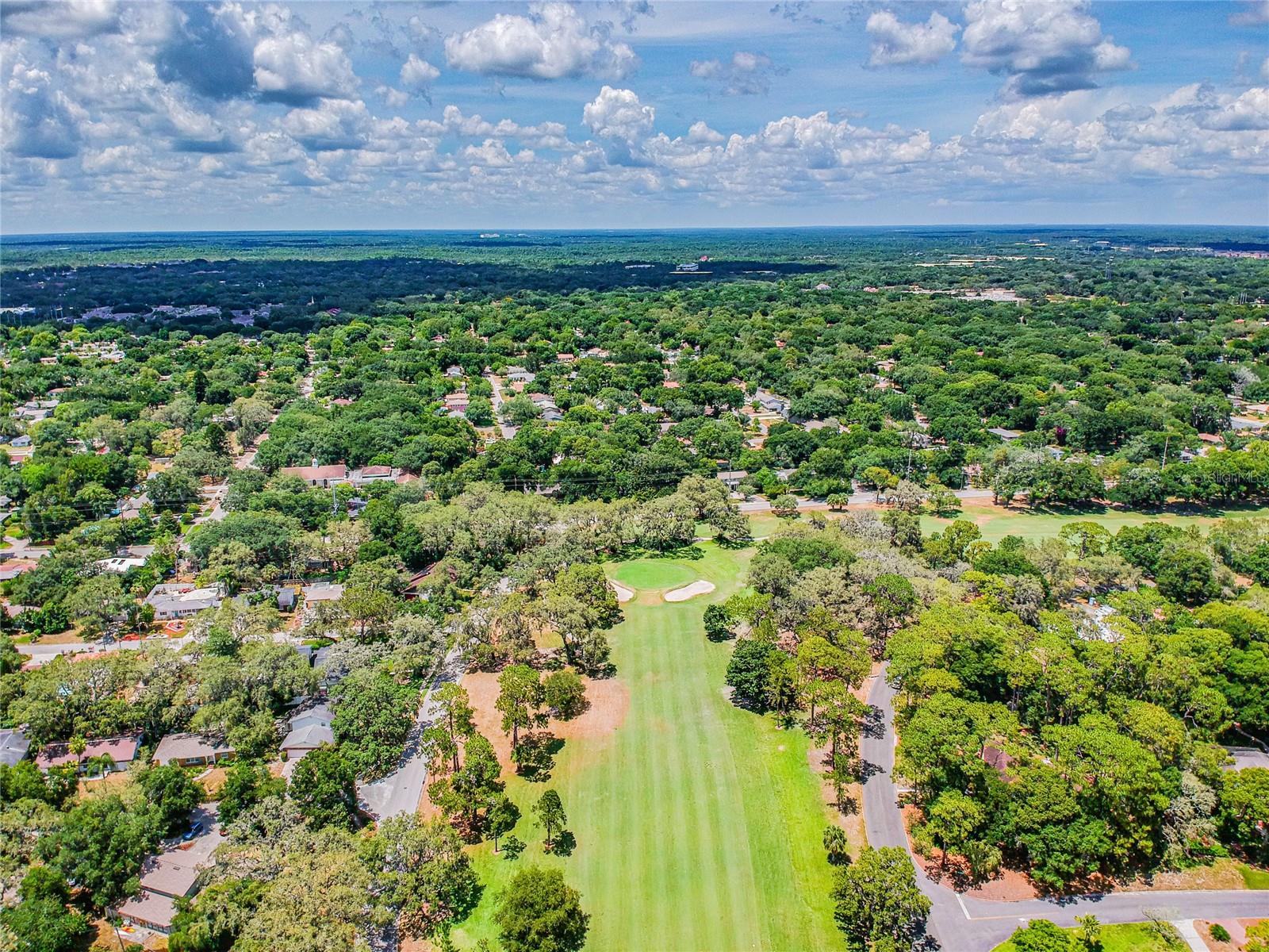 TEMPLE TERRACE ESTATES - Residential