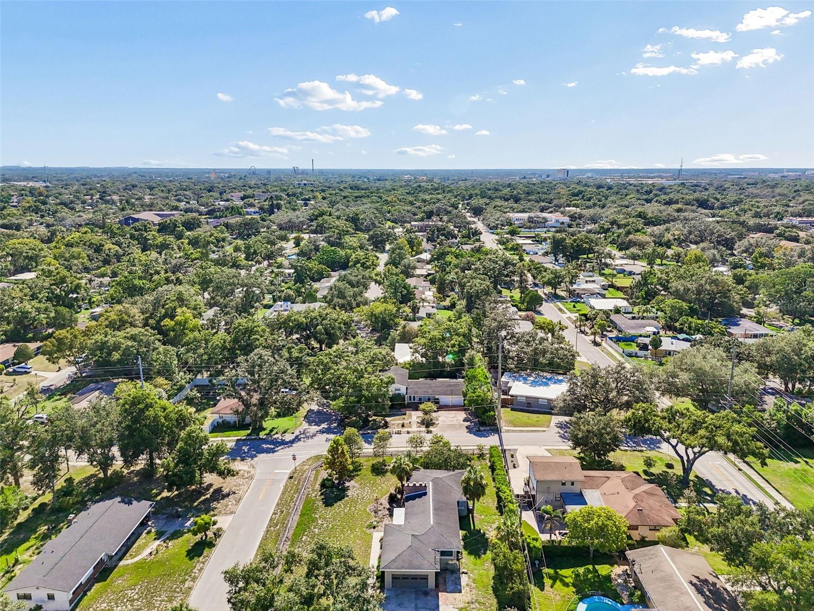 TEMPLE TERRACE ESTATES - Residential