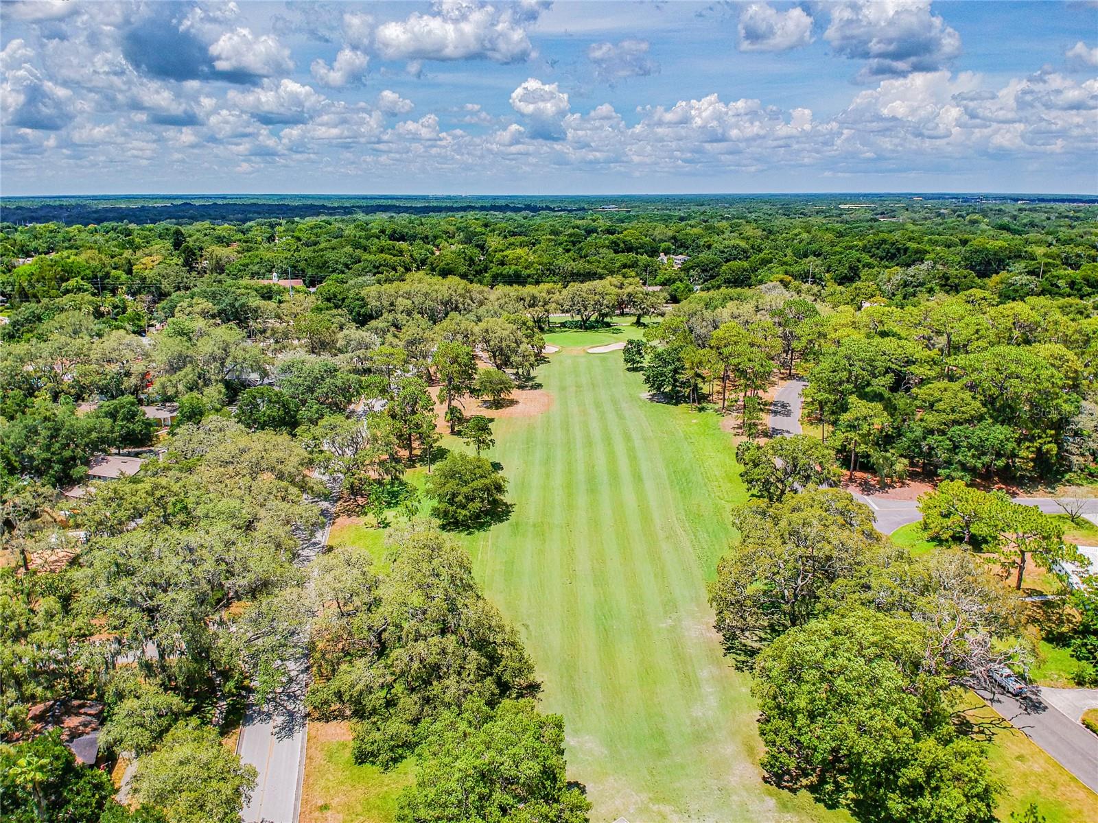 TEMPLE TERRACE ESTATES - Residential
