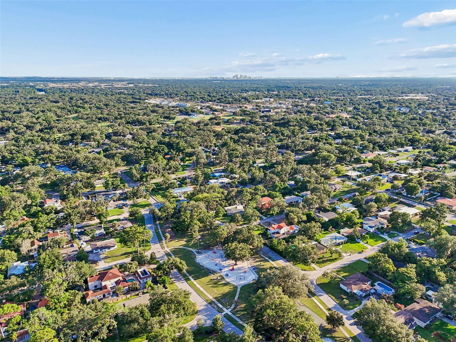 TEMPLE TERRACE ESTATES - Residential
