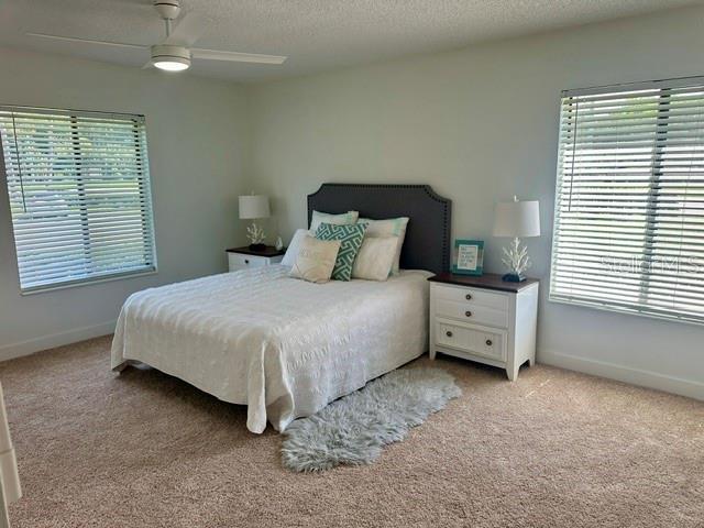 PINE RIDGE AT LAKE TARPON VILLAGE - Residential