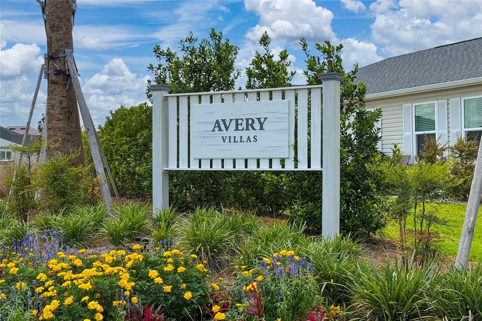 THE VILLAGES OF SOUTHERN OAKS - Residential