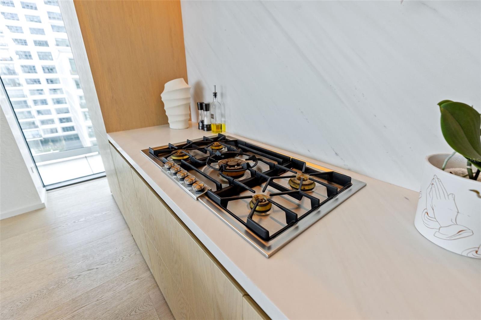 WATER STREET CONDOMINIUM - Residential