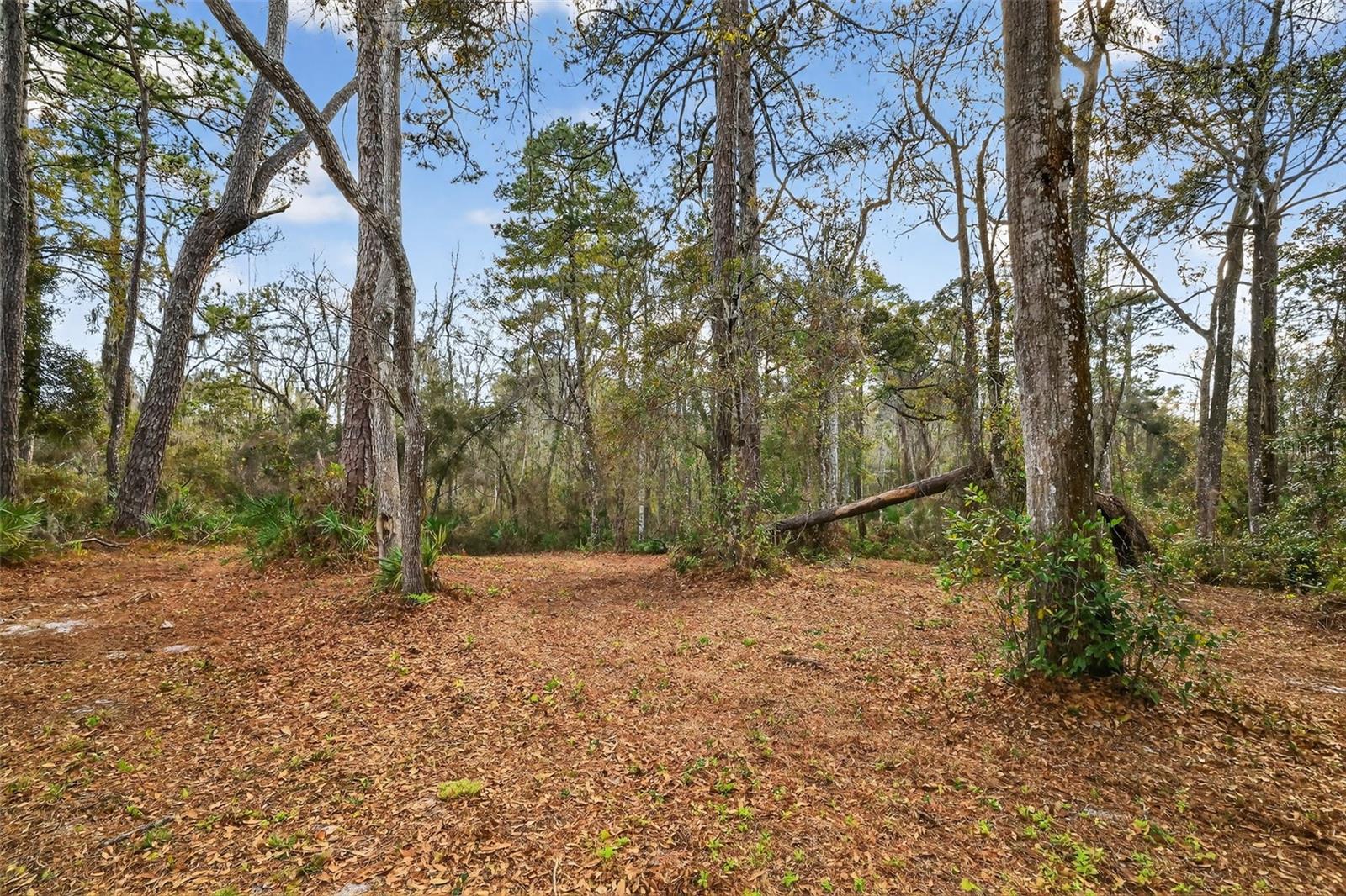 BELL ACRES - Land