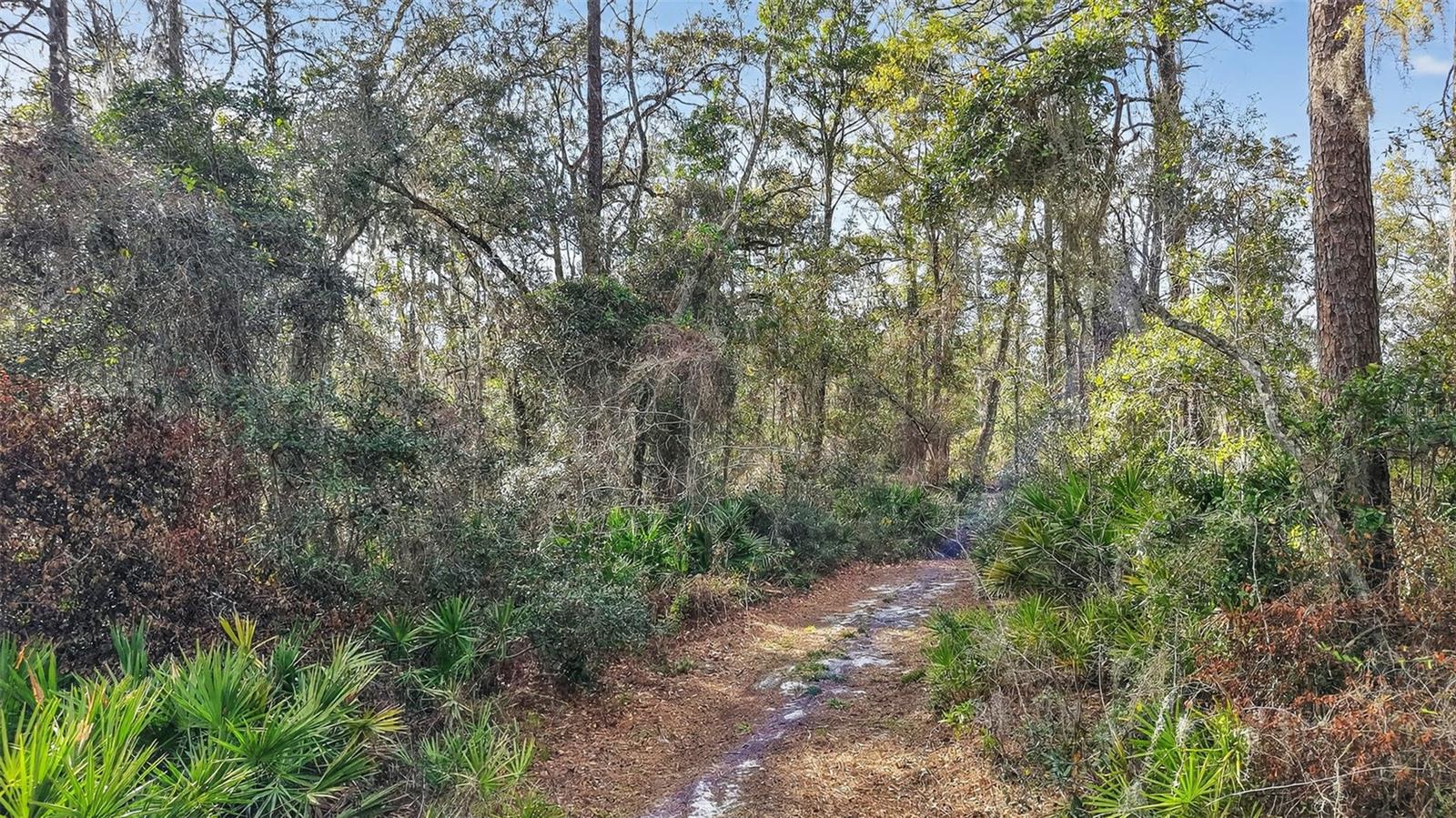 BELL ACRES - Land