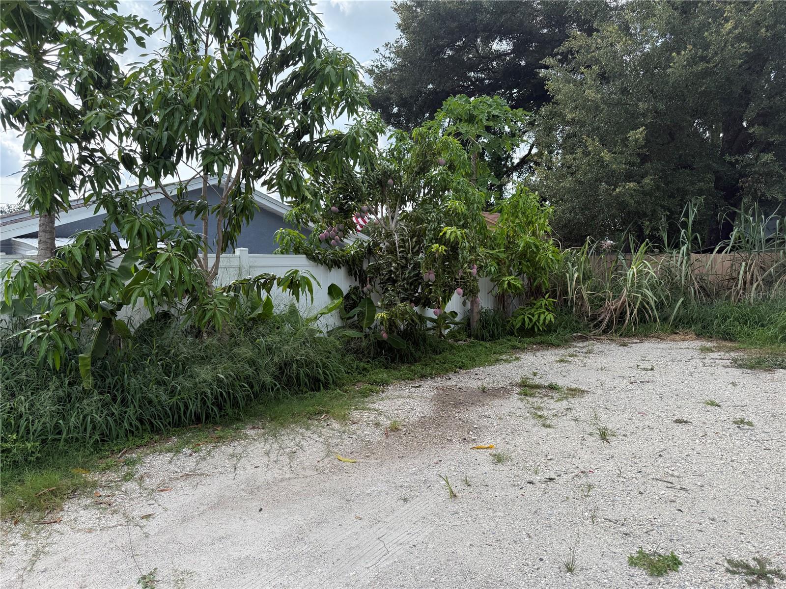 LAKE VIEW PARK SUB - Residential