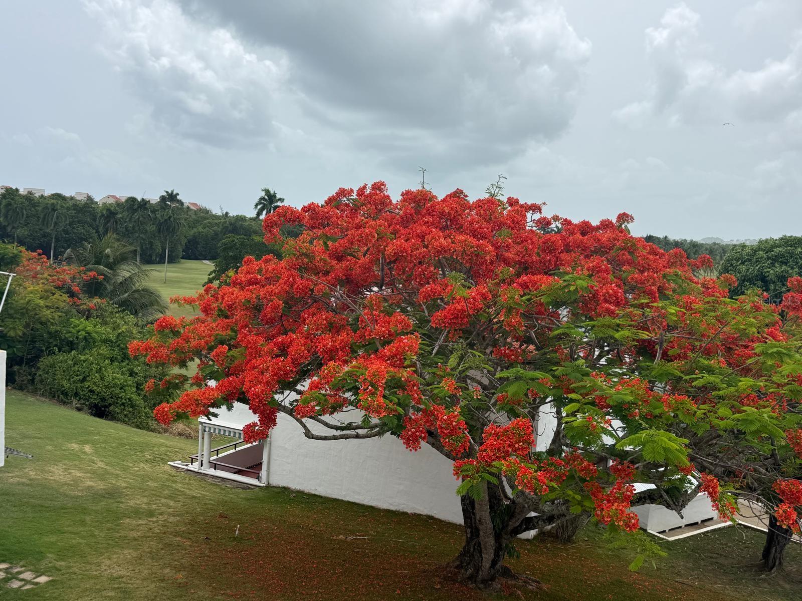 RIO MAR CLUSTER 2 - Residential
