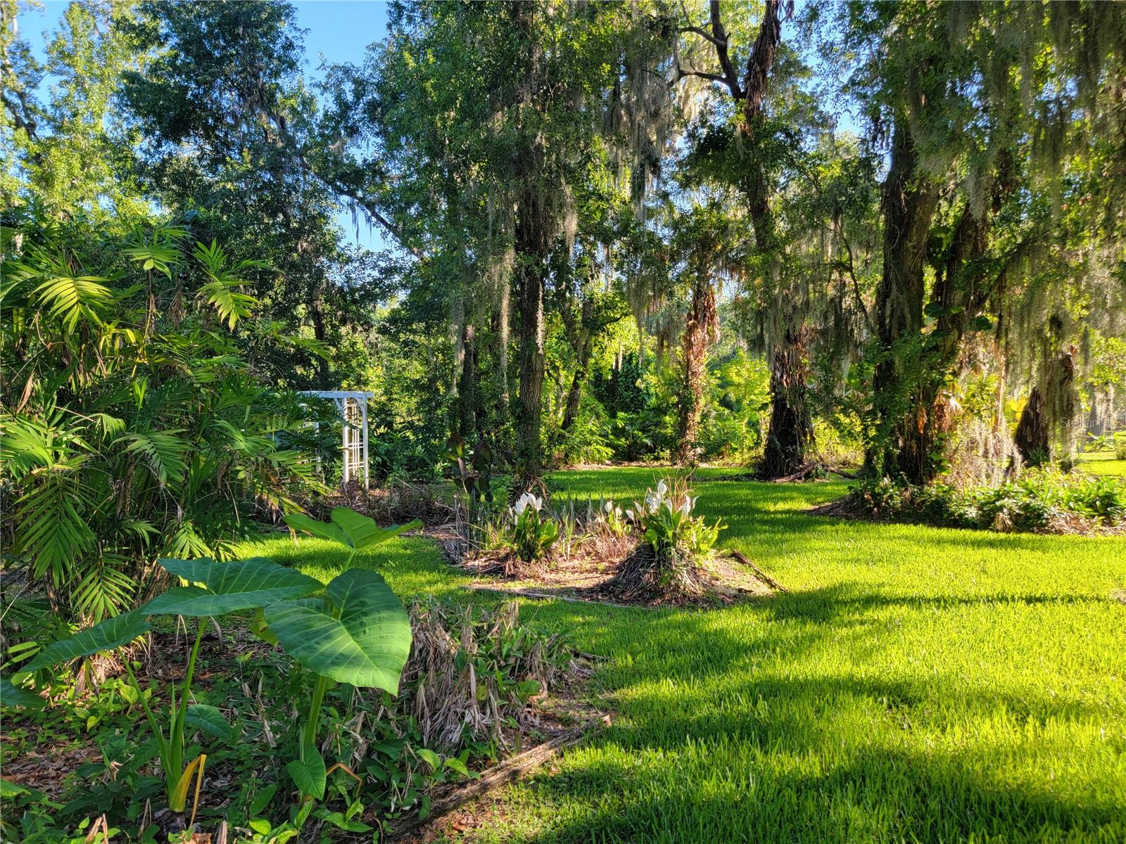LONGWOOD TRACE PH 01 - Residential