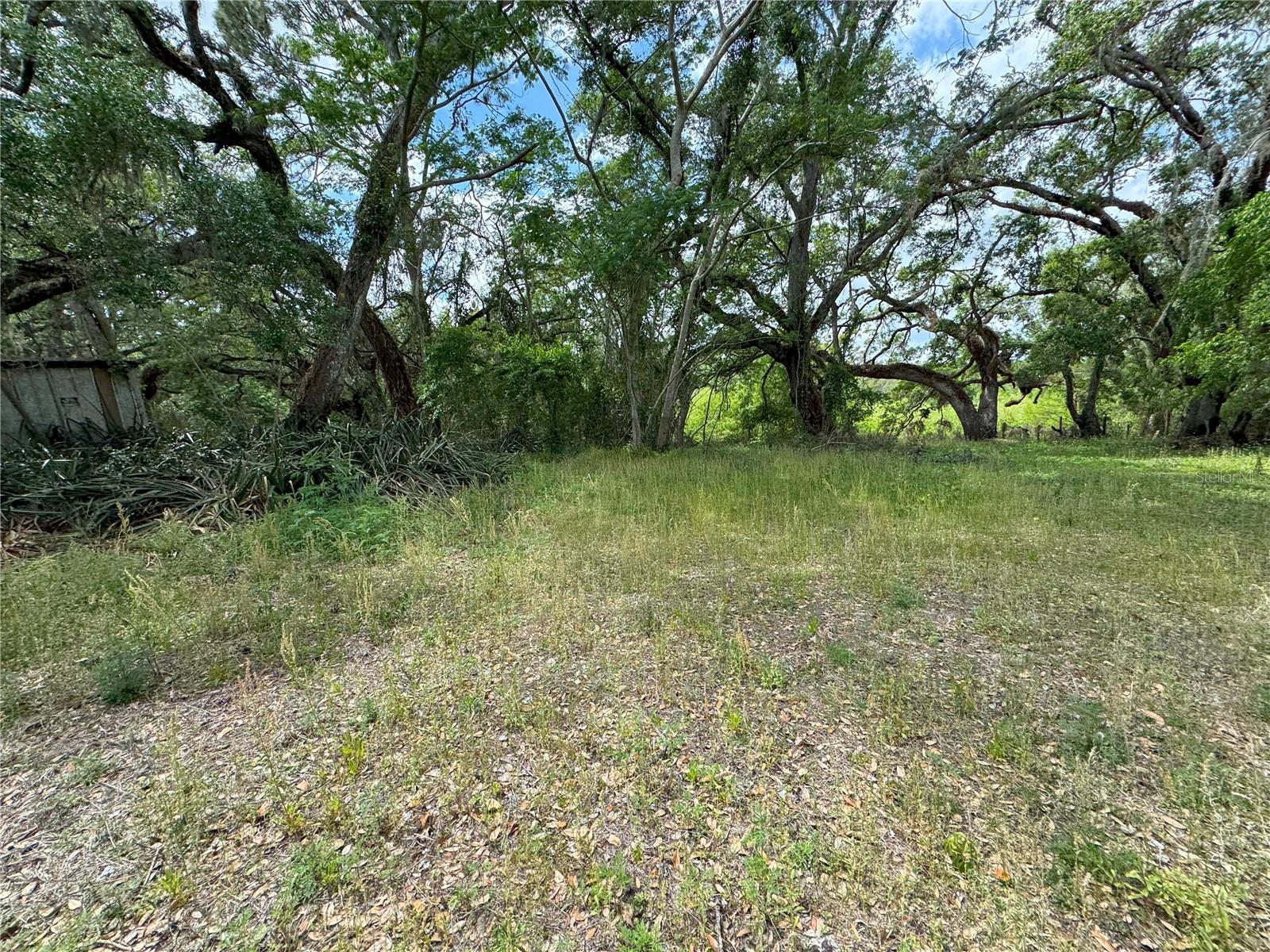 TALISMAN ESTATES - Land