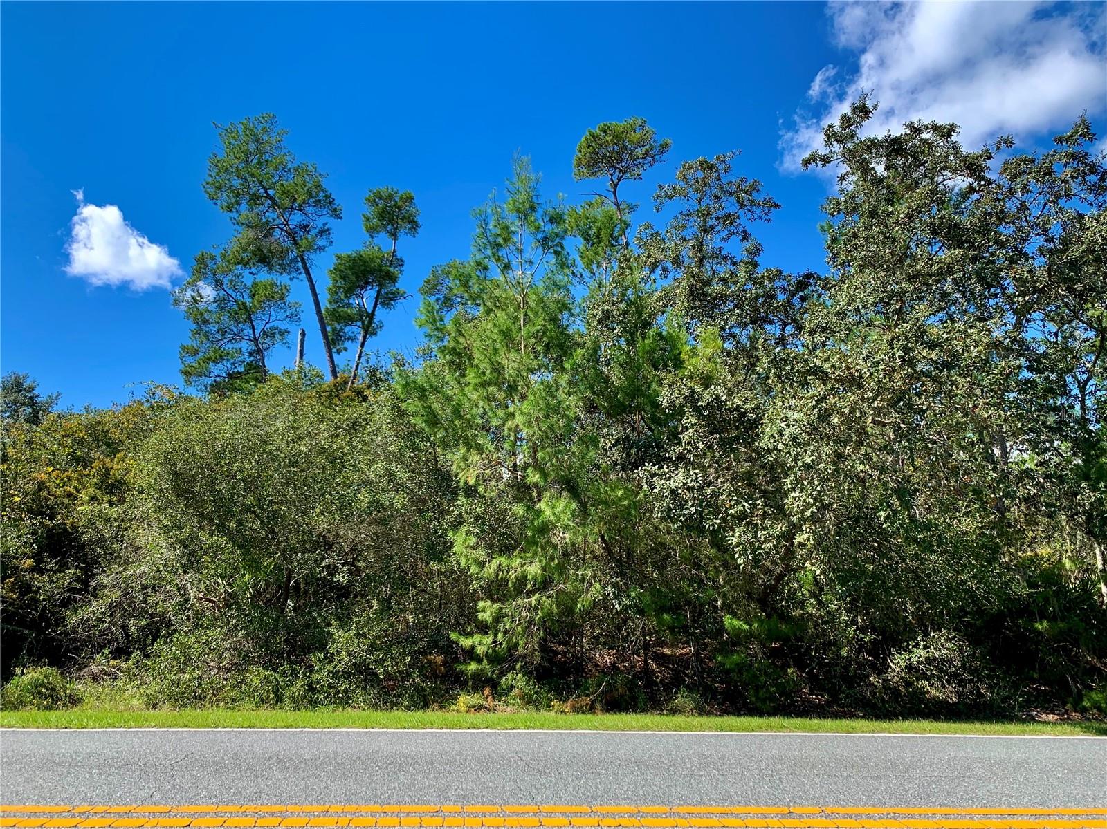 2- ONE ACRE PARCELS ADJACENT TO EACH OTHER for sale, located at Equestrian Royal Trails Subdivision, there is no time limit to build, and the minimum square footage is 1,200. YOU CAN CHOOSE YOUR BUILDER, or one can be recommended. Once you build, you may park your RV and boat. The zoning allows two horses per acre and access to Lake Norris. The community has a playground, park, and enclosed pavilion with many activities throughout the year. Enjoy the St. Johns River, Lake Dora, Lake Eustis and more withing half hour of the subdivision. A survey is recommended for accurate dimensions. The HOA is $65 a year per ACRE. Each parcel has its own Alt Key #. YOU can build one home on Lot 12 and another home on Lot 13.