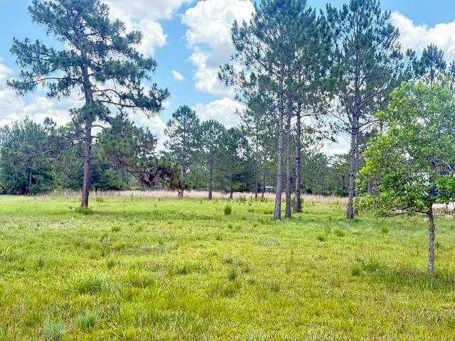 Make your dreams come true! Build your dream home on this beautiful 2.6 acre cleared lot in the highly sought after community of Wedgefield located in Orlando, FL! Bring your beloved horses, goats, and chickens with you. The formal determinations of landward extent of wetlands and other water surfaces and survey were completed in 2024 and are available for review. HOA is optional. Located close to Orlando International Airport, 15 minutes to Lake Nona, 15 minutes to downtown Orlando, and a 30 minute drive to the East Coast beaches! You can have the best of three worlds, living in nature with a short drive to the beaches or city life.