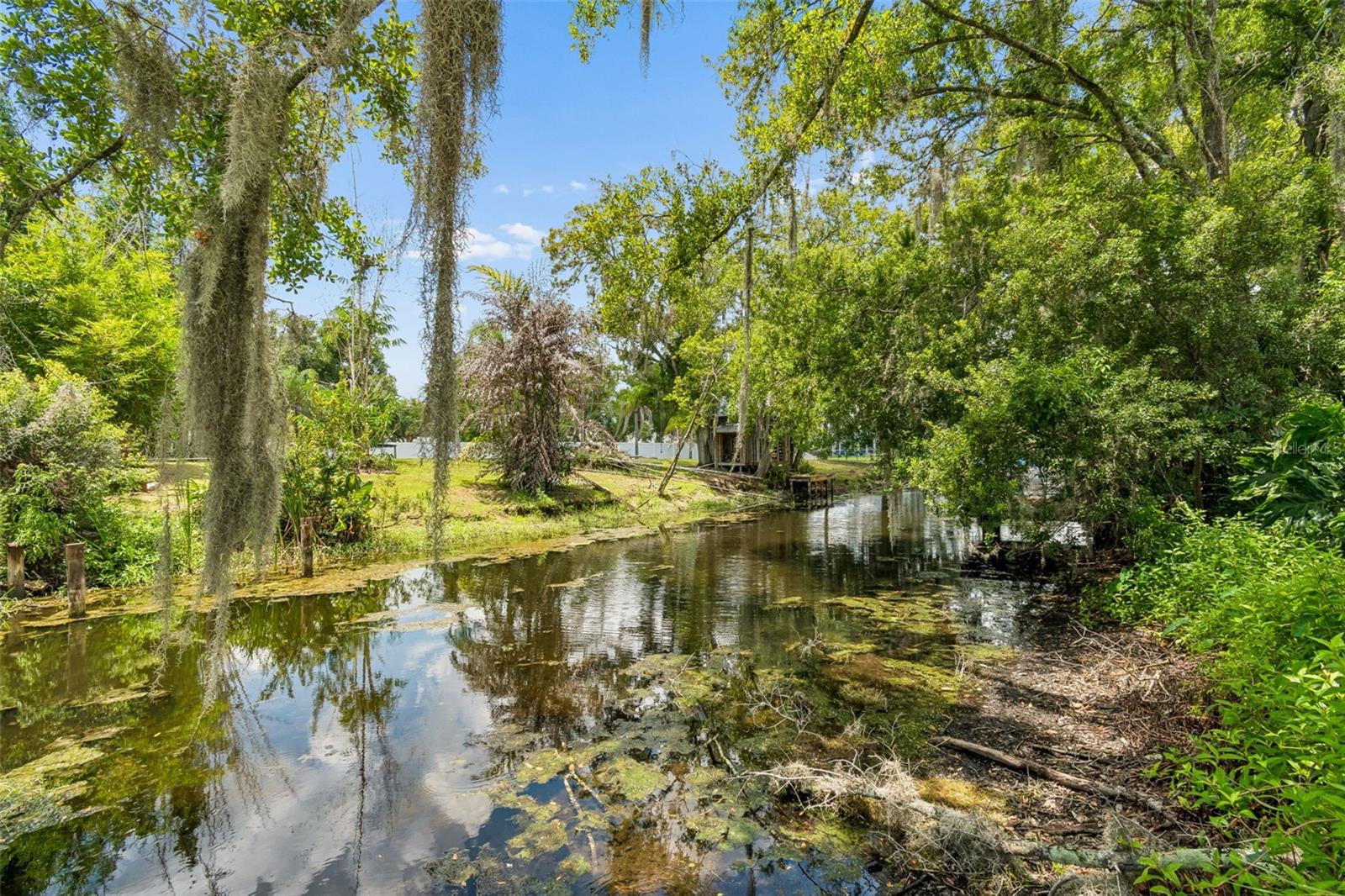 LAKE PADGETT/GROVE SHORE - Residential