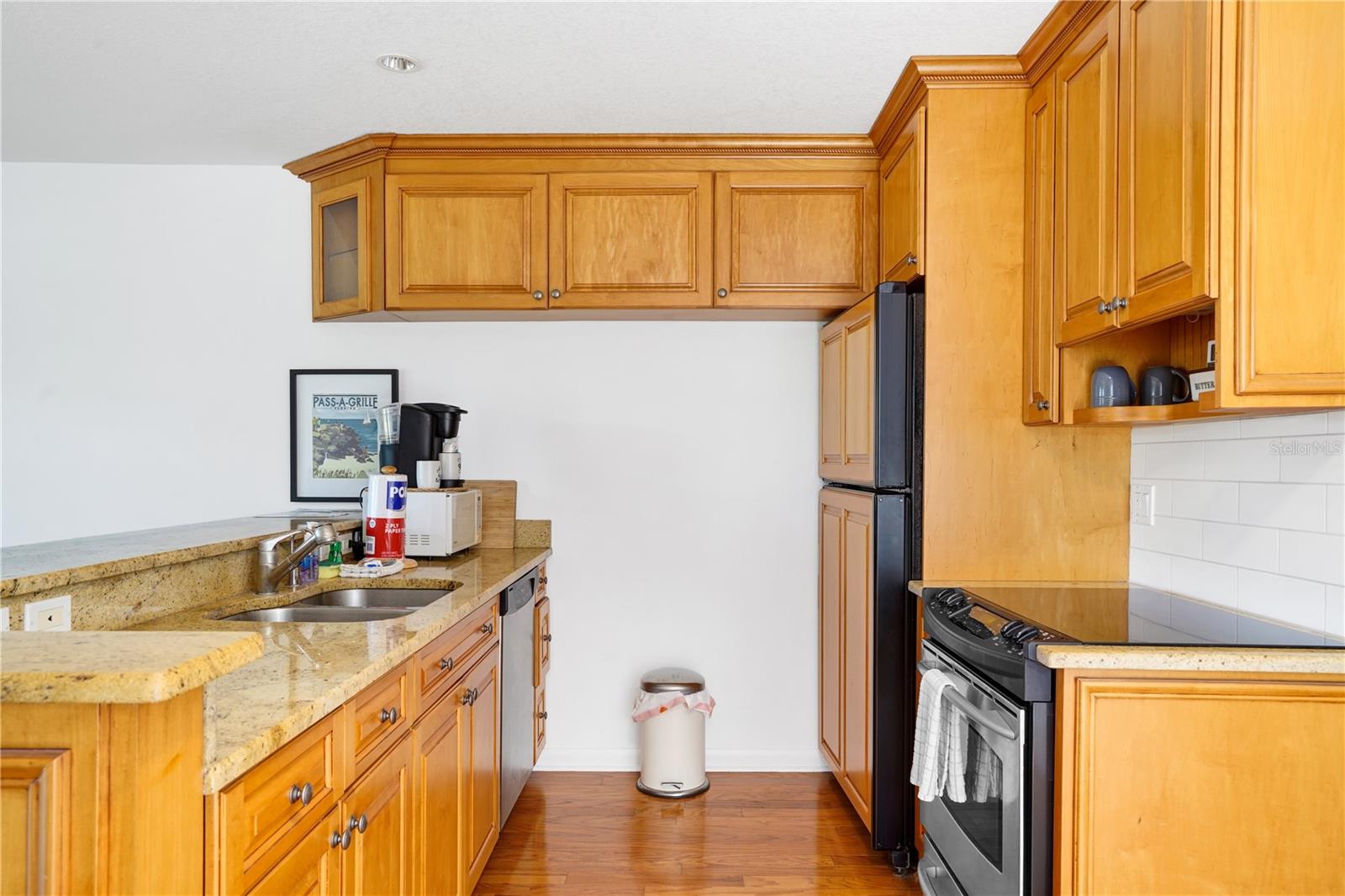 PINES OF PASS-A-GRILLE CONDO - Residential