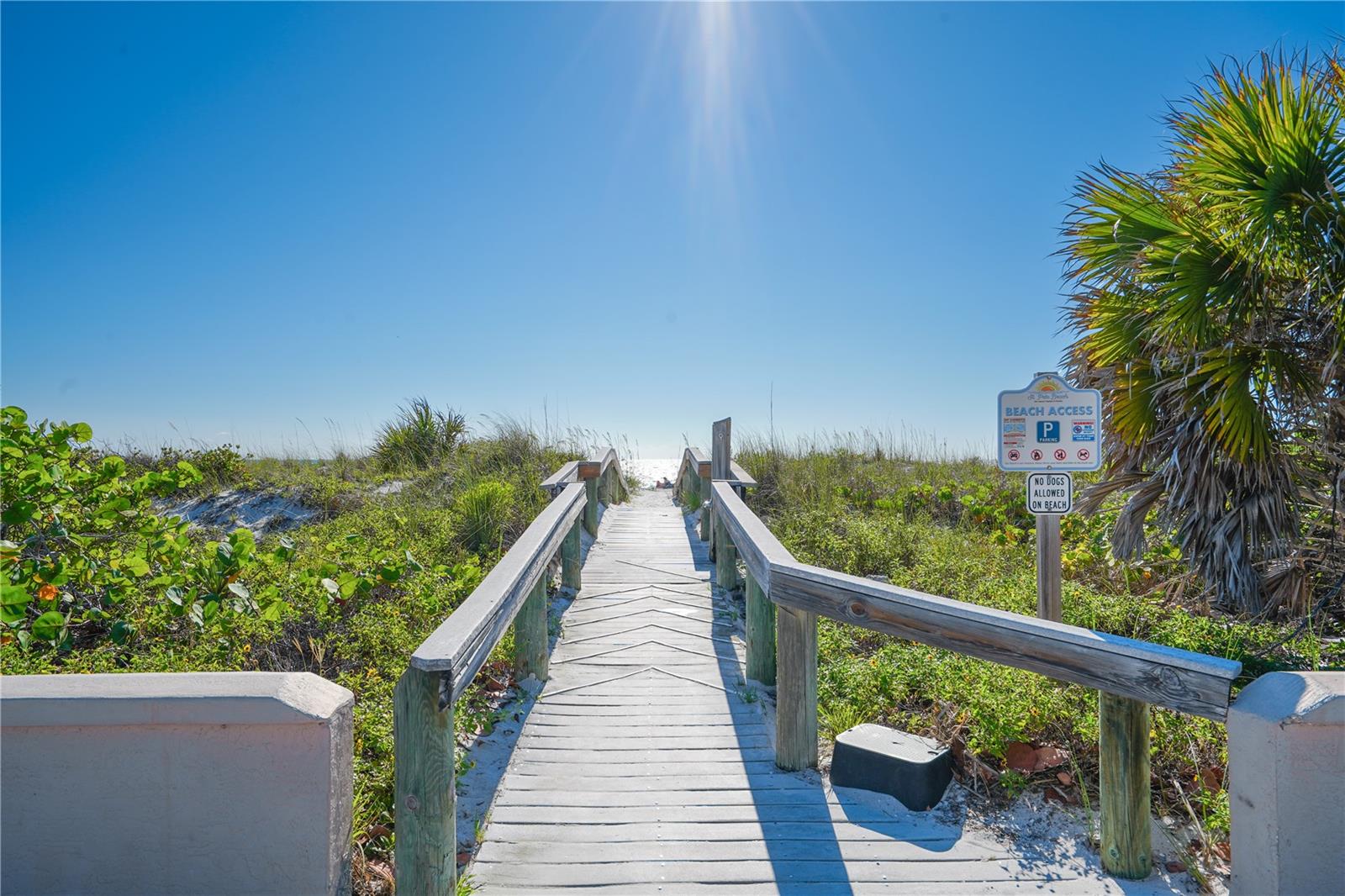 PINES OF PASS-A-GRILLE CONDO - Residential