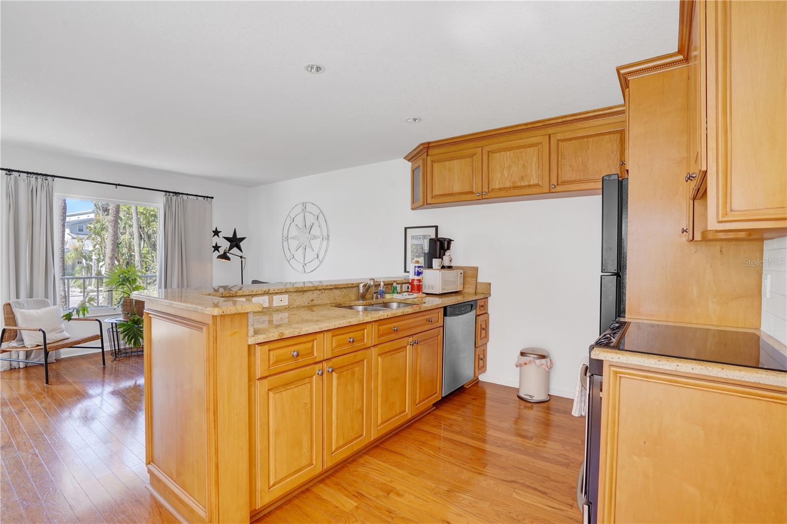 PINES OF PASS-A-GRILLE CONDO - Residential