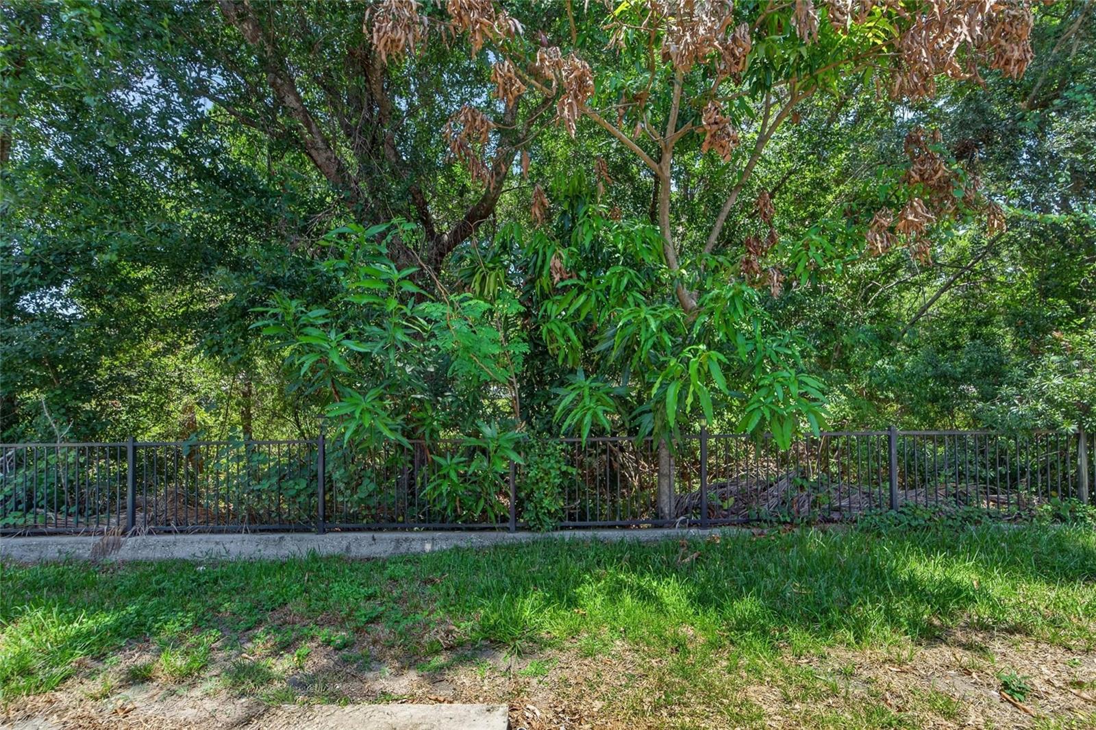 SUMMERFIELD VILLAGE 1 TR 2 - Residential