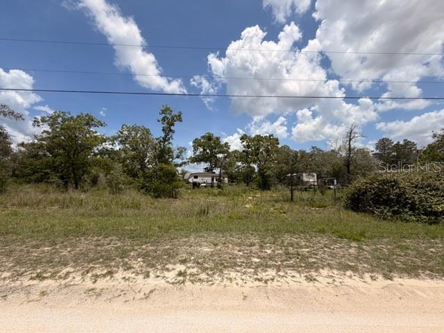 Build Your Dream Home on 1.5 Acres in Beautiful Weeki Wachee!

Discover the perfect blend of privacy, space, and natural Florida beauty with this 1.5-acre homesite in one of Weeki Wachee’s desirable neighborhoods. Nestled among mature trees and surrounded by well-maintained homes, this property offers plenty of room to build your dream home, add a workshop, store your boat or RV, and create the lifestyle you’ve always wanted.

Enjoy the peaceful setting while remaining conveniently close to shopping, dining, medical facilities, schools, and the Suncoast Parkway for an easy commute to Tampa. Outdoor enthusiasts will love being just minutes from the crystal-clear Weeki Wachee River, Gulf Coast beaches, parks, hiking trails, boating, kayaking, fishing, and all the recreational opportunities Hernando County has to offer.

Whether you’re looking to build now or invest for the future, this spacious 1.5-acre parcel provides endless possibilities in one of Florida’s fastest-growing areas.

Don’t miss this opportunity to own a slice of paradise in Weeki Wachee!