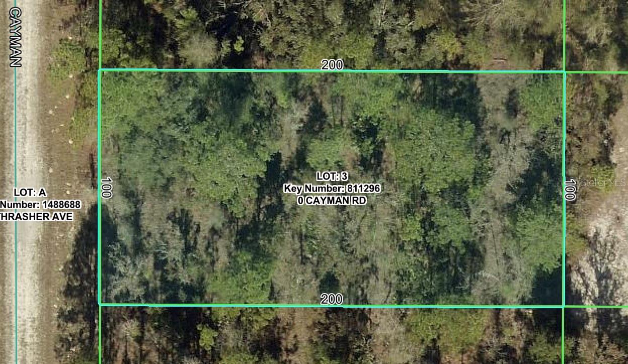 Nestled away in a highly desirable area of the Royal Highlands unit 8, this beautiful home site is waiting for you. The location is fantastic, ready to build your dream home on - or hold on to as an investment. Not in a deed-restricted community no HOA or CDD fees either, and there is no time limit on when you can build. Close to all area amenities such as shopping, schools, dining, entertainment, medical, and saltwater fishing in the Gulf and natural freshwater rivers and springs- for those who love the outdoors. See this beautiful home site today before it is gone. If you have any questions just ask.