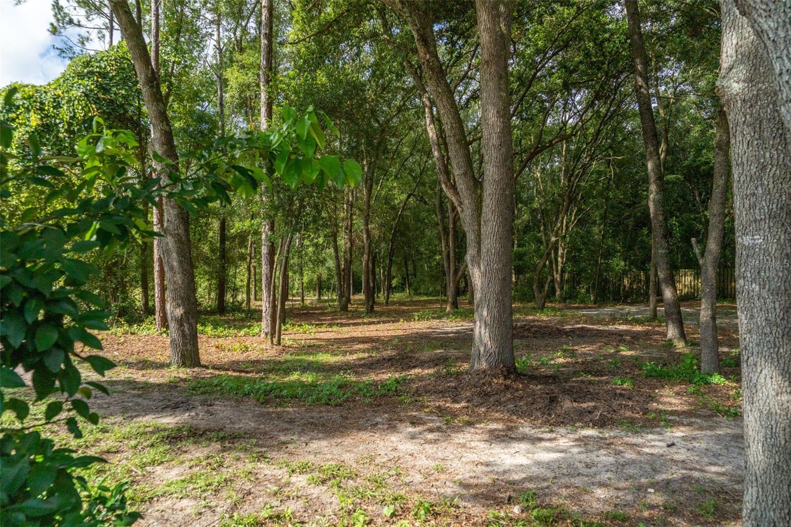 Build your dream home on this beautiful .50-acre homesite located within the Bronson city limits. This flat, buildable lot features mature natural trees with very little underbrush and partial privacy fence across the back of the lot, offering the perfect balance of privacy while requiring less clearing than many vacant parcels. City water and fiber internet are available, and a septic system will be needed. Enjoy the convenience of in-town living while still having room to spread out in a peaceful setting. Whether you’re ready to build a custom home now or invest for the future, this property offers an excellent opportunity with modern utilities, natural beauty, and easy access to schools, shopping, and everyday amenities.