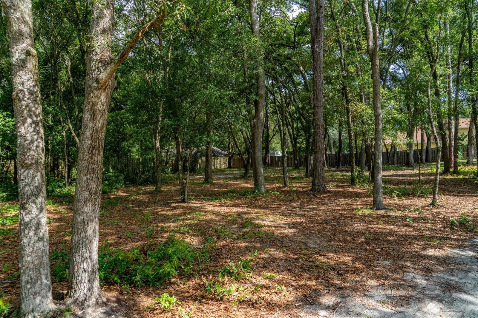 DEER TRAIL SUB - Land