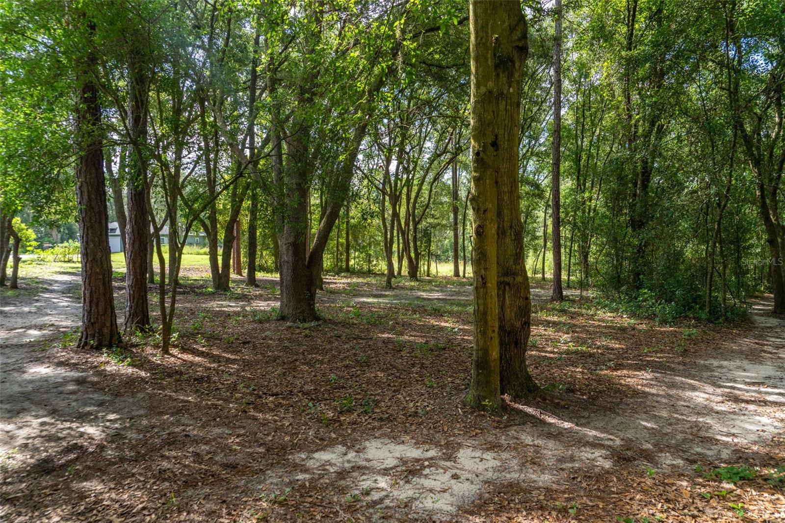 DEER TRAIL SUB - Land