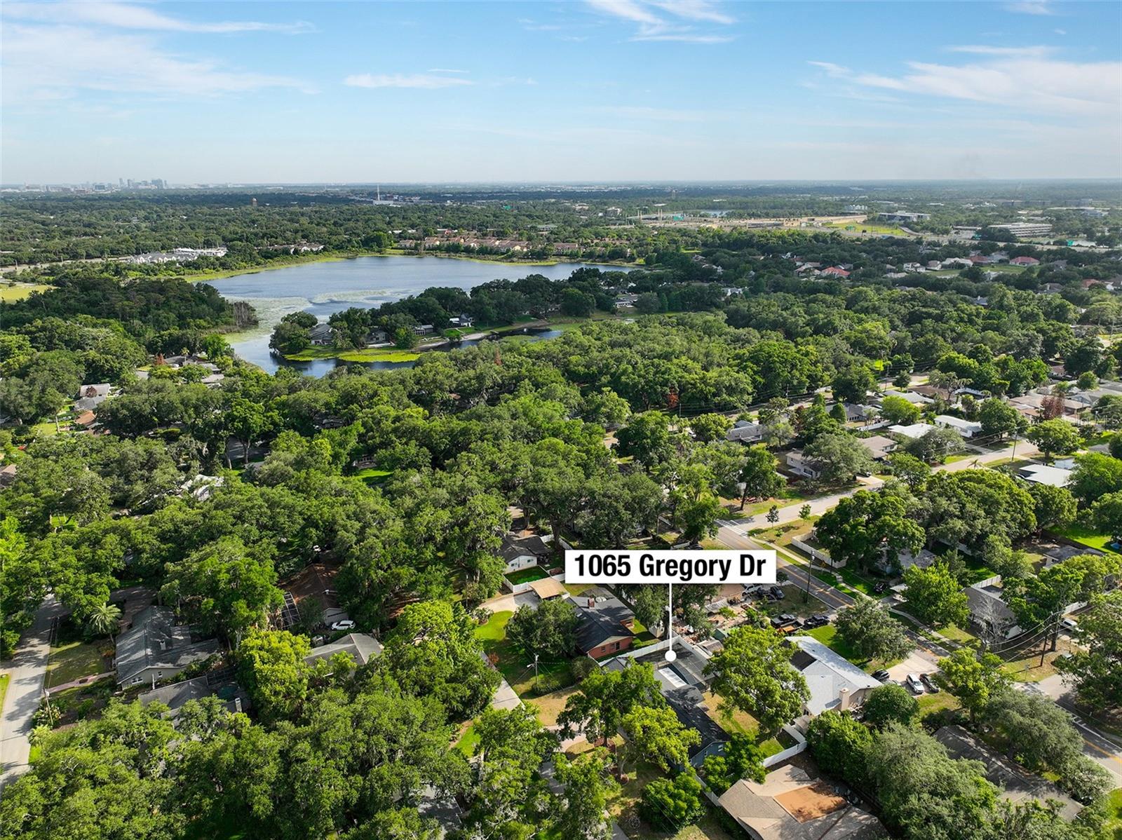 DRUID HILLS ESTATES 1ST ADD - Residential