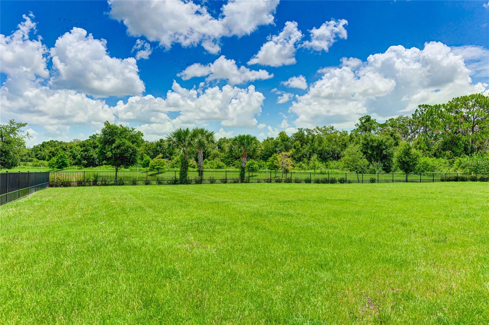 SAVANNA AT LAKEWOOD RANCH - Residential
