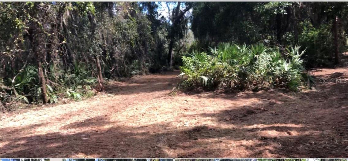 ACREAGE - Land