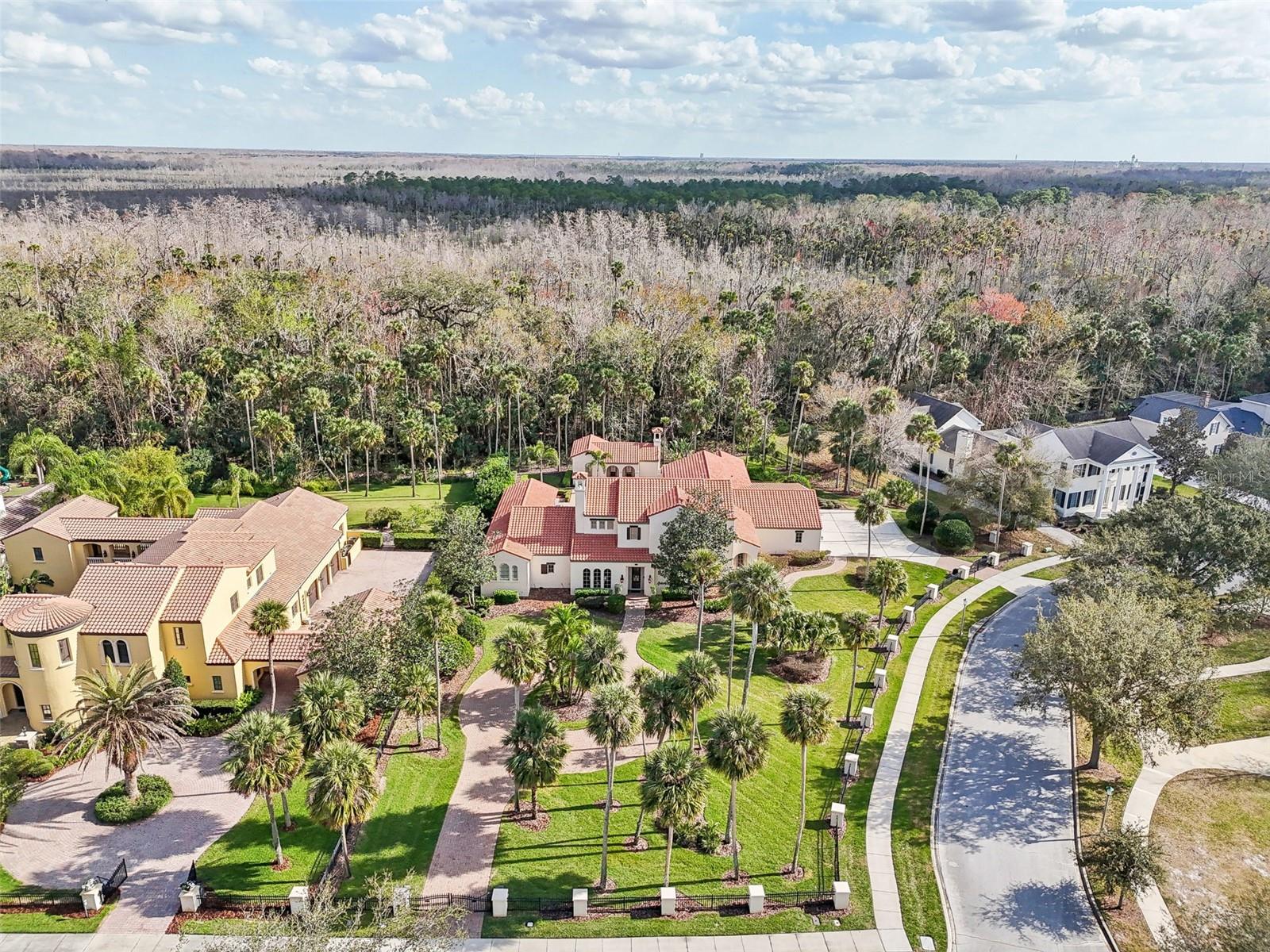 Will be open for showings on Sunday, Feb. 23rd. 1211 Aquila Loop is located on the largest single lot in Celebration (.98), with a private wrap around electric gate. Every inch of this house has been loved-on and built with pure enjoyment in mind. They say, "The Kitchen is the Heart of the Home", well this one is the definition of that! Stunning European Culinary Kitchen, Gas range, Expansive Island, Cabinetry on all sides. It all flows into the Family room. for those who love an open concept. Not to mention the attached Kitchen nook, which is ginormous! The entire space is encircled with floor to ceiling windows looking out over the pool. It then flows into the large Game Room, with a wet bar. The sliding glass doors seamlessly flow into one, and leads you out to the covered patio with an outdoor Kitchen and fireplace. Again, this home was built with a lot of love and thought in mind!

On the first floor, you also have a Grand Formal Dining Room with a large Butler's Pantry. Across, you have a Library/Den with a private passageway. The intricate details in the ceiling will compel you to do a lot of looking up, it's absolutely stunning! The Master Bedroom has it's own wing. You are led down the grand hall, which takes you into the rotunda & then into the grand Master Bedroom, with a private sitting area, all overlooking the pool. You have a wall of French doors that open to the covered patio that leads out to the waterfall spa. The Master Bathroom is absolutely massive! The walk-in shower spans an entire wall with natural lighting coming in from above, a large jetted spa tub, double-sided vanities and two oversized walk-in. sit-down closets with custom shelving. On the second floor, you have two private ensuites with walk-in showers and a large loft with French doors that open to a gorgeous outdoor balcony overlooking the pool. There is a beautiful detached guest house with a full size kitchen, living room, bedroom and bath. For the car lover, you have an oversized 3-car garage. At the front of the Estate, you have a large circular driveway as well as a very large parking pad in the back. There are also two private side entrances in the front as well as in the back courtyard. The Estate backs up to conservation and Aquila is known for it's privacy.

The entire home has been recently pressure washed, roof cleaned, exterior painted in 2022, entire interior painted in 2024, all new high-end & cost saving recessed lighting throughout the home, updated chandeliers, over $30,000 in upgrades made to the private gates and new Italian cypress trees planted around the pool.