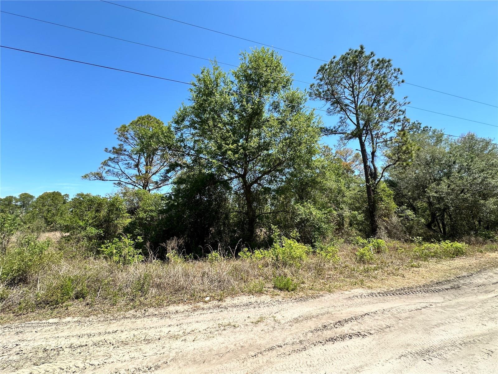 DIVERSIFIED PROPERTIES - Land