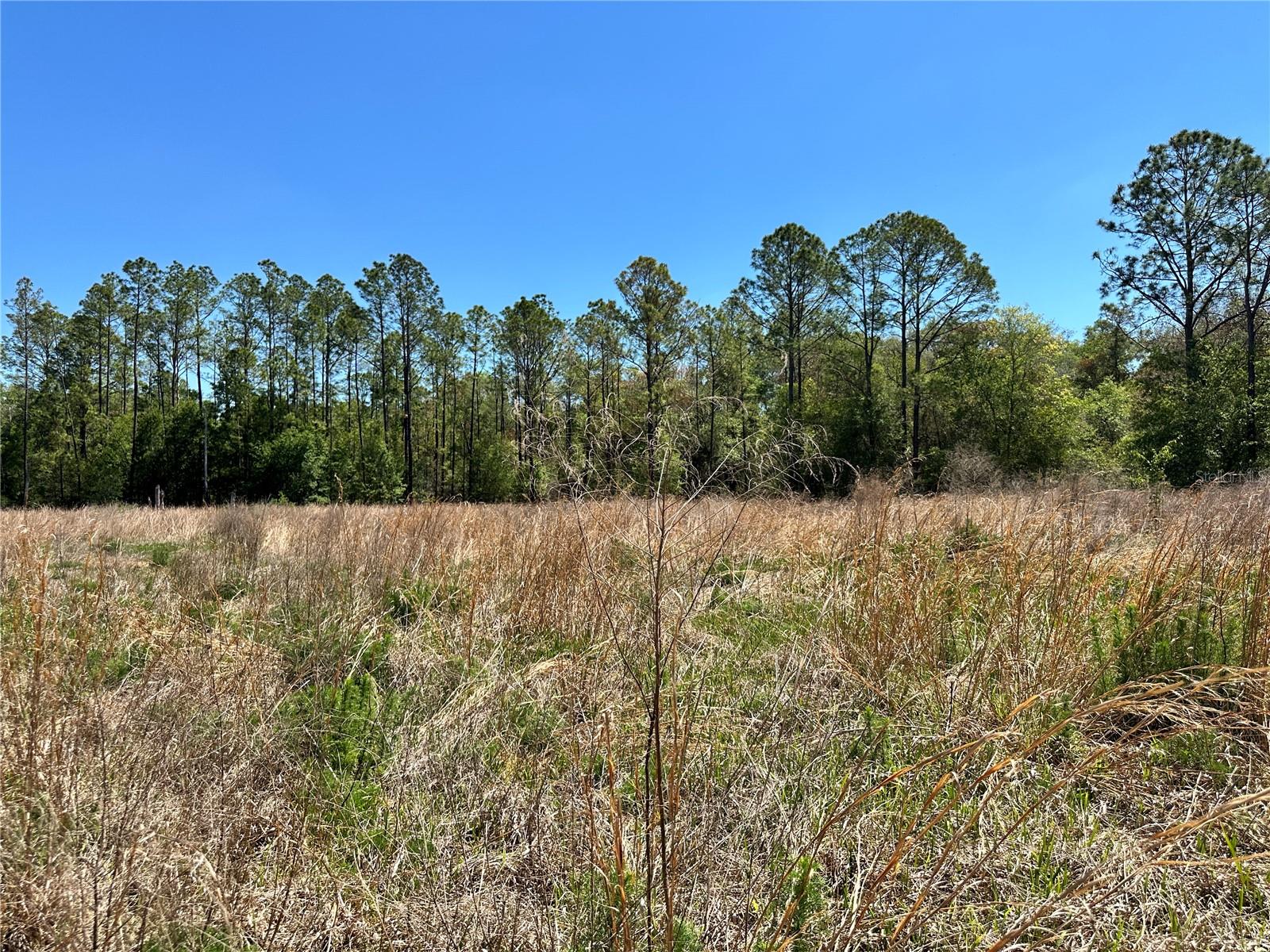 DIVERSIFIED PROPERTIES - Land
